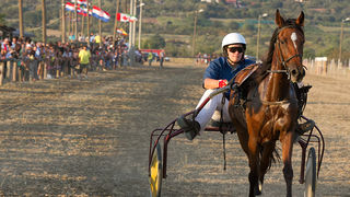 Polača: 14. Međunarodne konjičke utrke “Oluja 95”, Foto: Leo Banić Polača: 14. Međunarodne konjičke utrke “Oluja 95”, Foto: Leo Banić