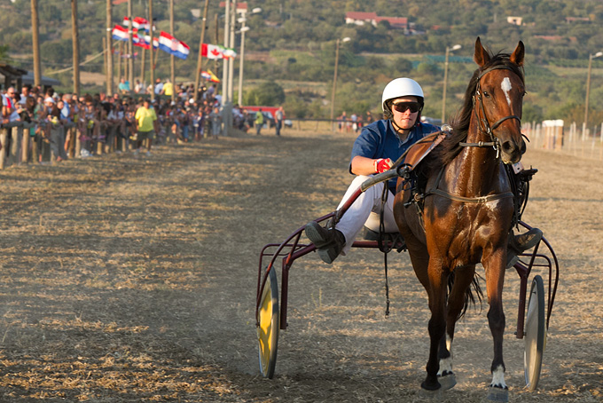 Polača: 14. Međunarodne konjičke utrke “Oluja 95”, Foto: Leo Banić Polača: 14. Međunarodne konjičke utrke “Oluja 95”, Foto: Leo Banić