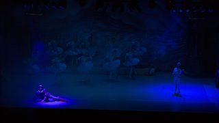 Baletna predstava “Don Quixote”, foto: Leo Banić