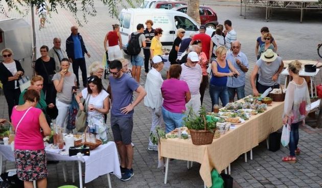 Ugljanska smokvarica