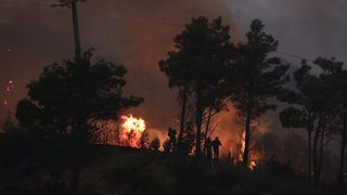 Tučepi: Požar se širi, zahvatio ranč i kuće, vatrogasci u akciji