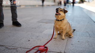 Đir po gradu, subotnja špica 6. travnja 2019. Đir po gradu, subotnja špica 6. travnja 2019.