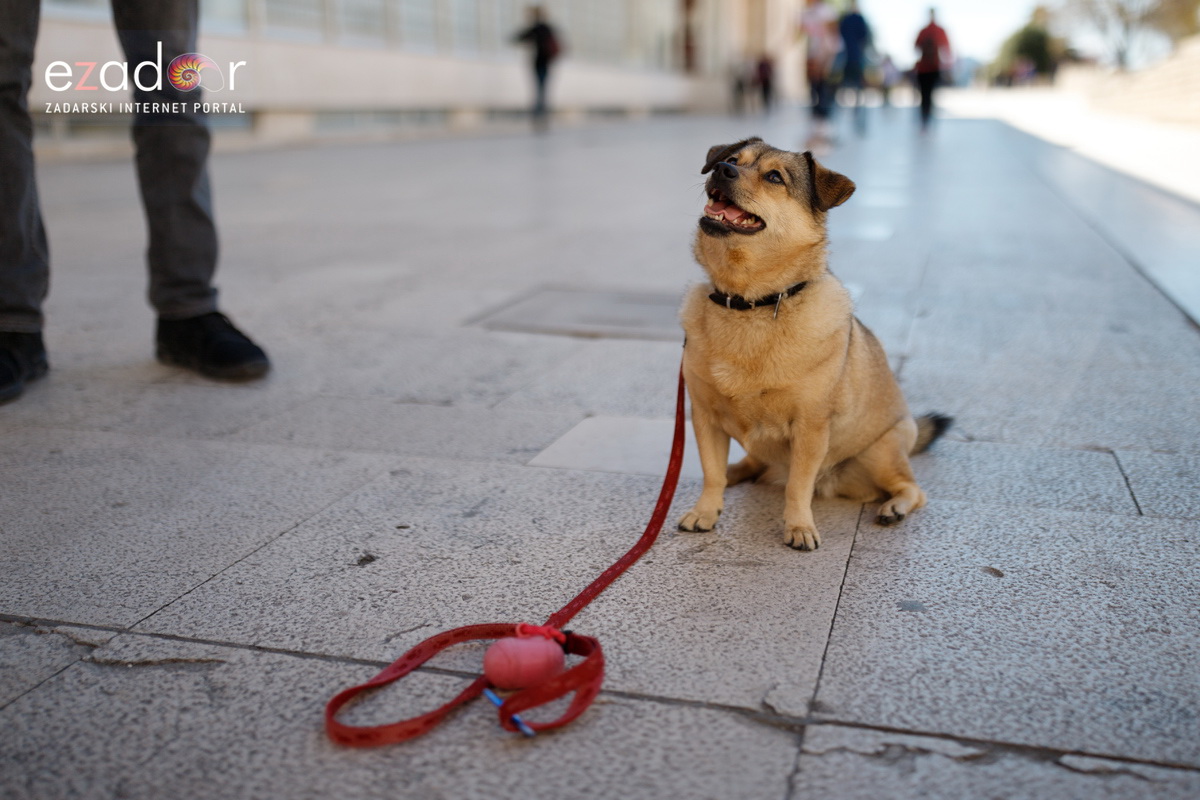 Đir po gradu, subotnja špica 6. travnja 2019. Đir po gradu, subotnja špica 6. travnja 2019.