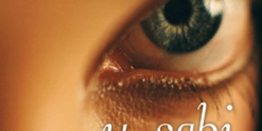 Stephenie Meyer – The Host