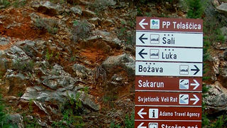 Image 1190419 (auto)