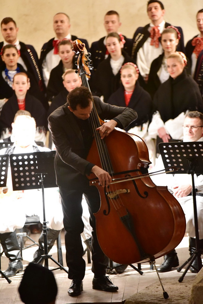 Turopoljsko srce srcu Zadra