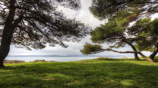 Skitnja gradom 11. listopada 2013.  Foto: Roberto Lerga