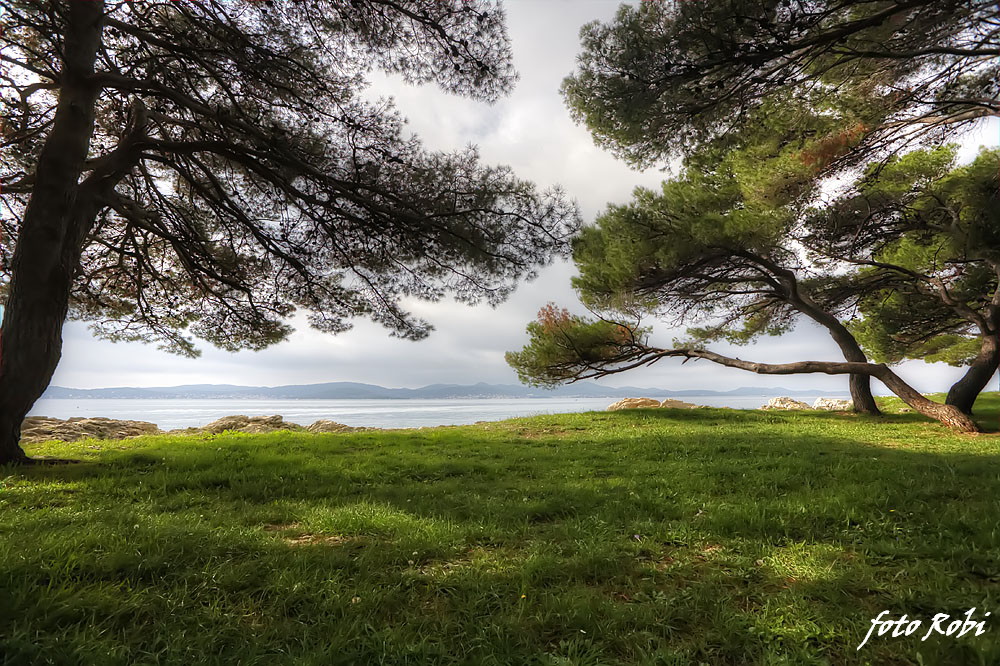 Skitnja gradom 11. listopada 2013.  Foto: Roberto Lerga