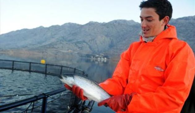 Kalifornijska pastrva, foto: Andrija Lučić / CROPIX