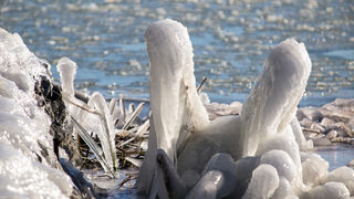 Debeli minusi i orkanska bura zaledili Vransko jezero Debeli minusi i orkanska bura zaledili Vransko jezero