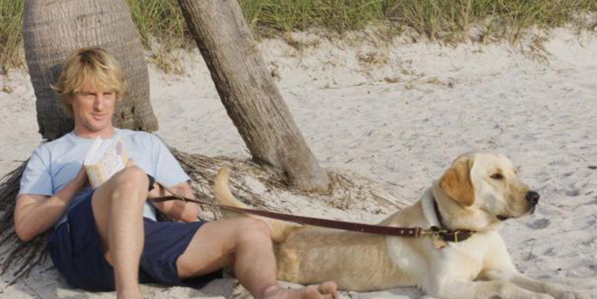 Marley i ja Marley i ja