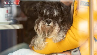 Đir po gradu, subotnja špica 16. veljače 2019. Đir po gradu, subotnja špica 16. veljače 2019.