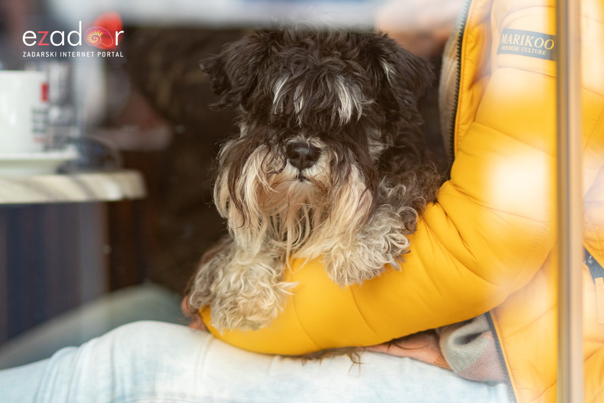 Đir po gradu, subotnja špica 16. veljače 2019. Đir po gradu, subotnja špica 16. veljače 2019.