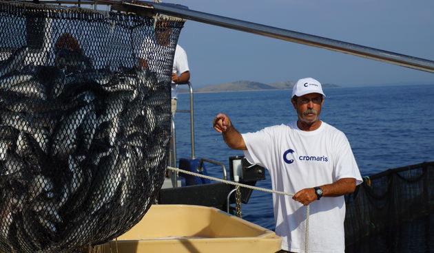 Blue smart, ribarstvo