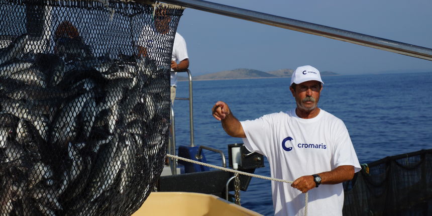 Blue smart, ribarstvo