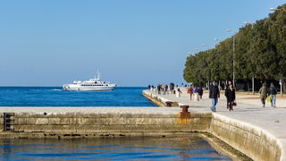 Đir po gradu 29. studenog 2016.