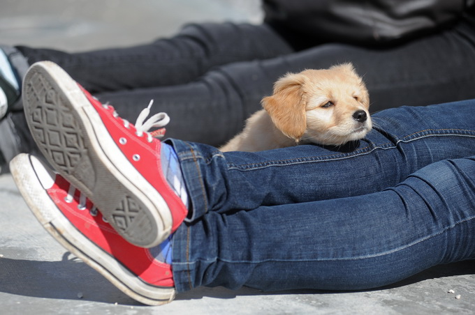 Zadar, 130313.
Zadrani su nakon gotovo tjedan dana kise i ruznog vremena docekali prekrasan suncani dan. Temperatura zraka u 11h iznosila je 13 stupnjeva celzijusa.
Foto: Luka Gerlanc / CROPIX Zadar, 130313.
Zadrani su nakon gotovo tjedan dana kise i ruznog vremena docekali prekrasan suncani dan. Temperatura zraka u 11h iznosila je 13 stupnjeva celzijusa.
Foto: Luka Gerlanc / CROPIX