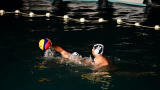 VAK”AN”ZA 31%, finale: Reptili – Nesvrstani 2-4 VAK”AN”ZA 31%, finale: Reptili – Nesvrstani 2-4