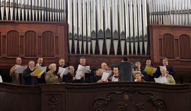 Katedralni zbor Sv. Stošije (foto: Marin Gospić)