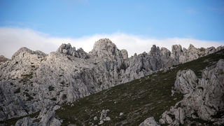 Velebitska katedrala – Tulove grede. Foto: Vinko Pešić Velebitska katedrala – Tulove grede. Foto: Vinko Pešić