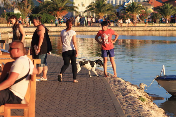 1. Bibinje Summer Run – ulična utrka ulicama Bibinja. Foto. Leo Banić 1. Bibinje Summer Run – ulična utrka ulicama Bibinja. Foto. Leo Banić