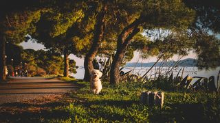 Đir po gradu, 22. siječnja 2016., foto: Iva Perinčić Đir po gradu, 22. siječnja 2016., foto: Iva Perinčić