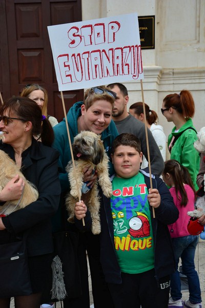 Skup podrške za NO KILL skloništa za životinje,  foto Iva Perinčić