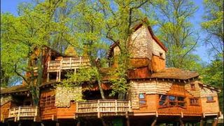 Kuće na drveću