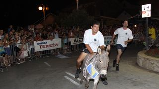 Tisno: 6. Međunarona “Trka tovarov”, Foto: Edin Kadić Tisno: 6. Međunarona “Trka tovarov”, Foto: Edin Kadić