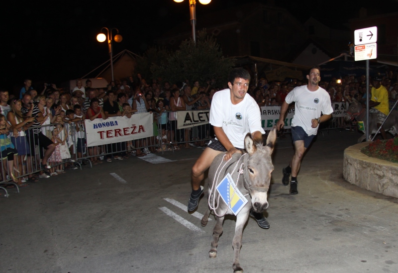 Tisno: 6. Međunarona “Trka tovarov”, Foto: Edin Kadić Tisno: 6. Međunarona “Trka tovarov”, Foto: Edin Kadić