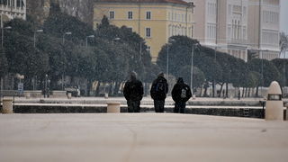 Bura i snijeg u Zadru 1. veljače 2012, Foto: Duje Surać