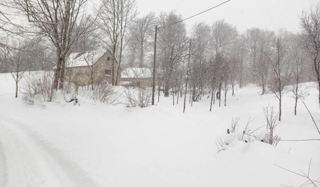 Torbički Vagan – HGSS