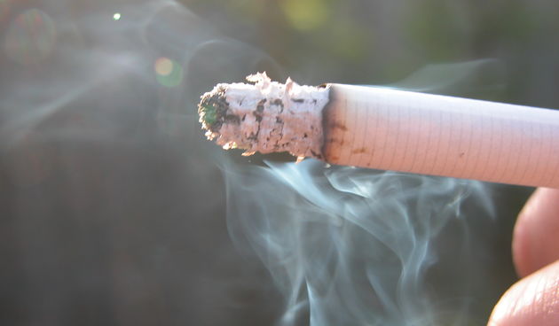 Image 1203145 (auto)