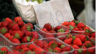 Image 1199889 (auto)