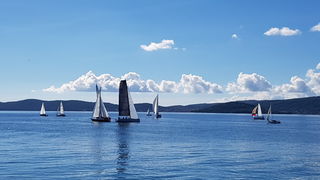 Zadarska Koka 2016. 22. listopada 2016. Foto: Mladen Malik Zadarska Koka 2016. 22. listopada 2016. Foto: Mladen Malik