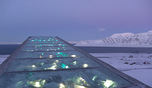 Noina arka za sjemenke (Foto: citynews.ca)