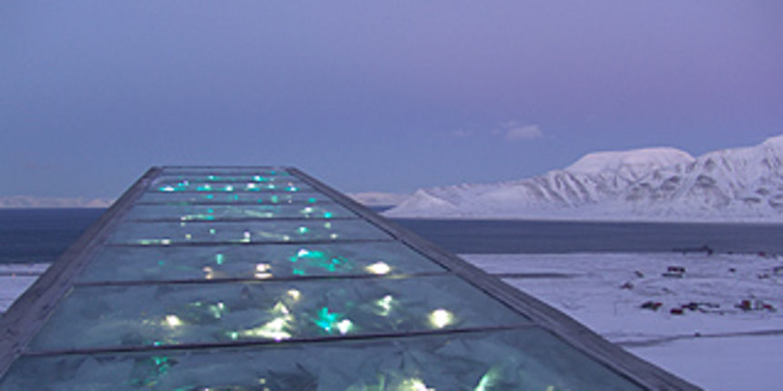 Noina arka za sjemenke (Foto: citynews.ca)