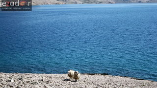 Metajna: Pag Island Star Trekk- Life on Mars Edition Metajna: Pag Island Star Trekk- Life on Mars Edition