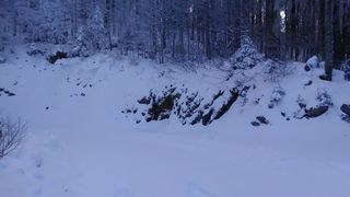 Novi snježni pokrivač u NP Sjeverni Velebit, do Babić Siče samo pješice!