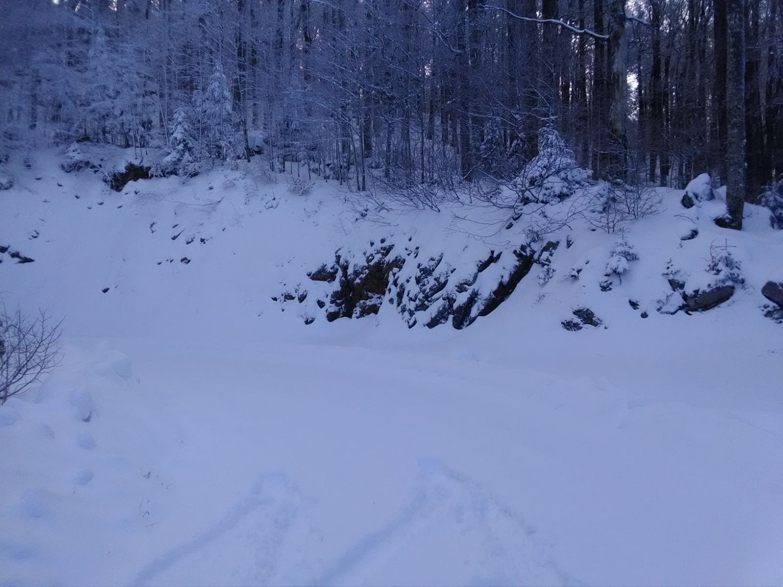 Novi snježni pokrivač u NP Sjeverni Velebit, do Babić Siče samo pješice!