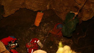 HGSS-ova akcija spašavanja pasa iz Živkine jame (foto: Zoran Erceg)