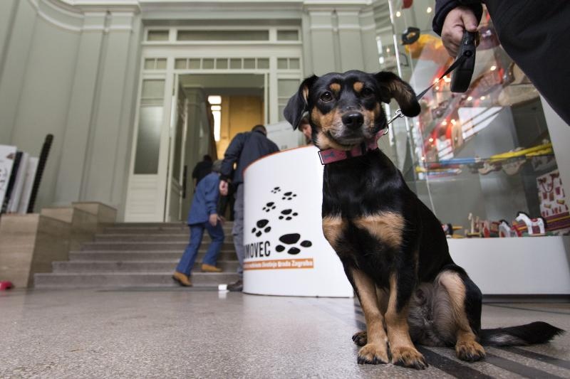 Kulturne šapice Kulturne šapice