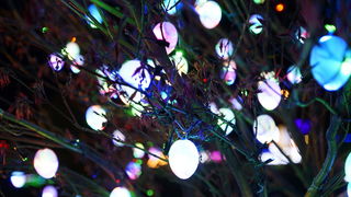 Cazma, 060412.
Obitelj Salaj iz Grabovnice kraj Cazme po prvi je put po uzoru na bozicni ugodjaj priredila i “Uskrsnu pricu”. Za tu su priliku imanje ukrasili s 2700 pisanica, zeceva, pilica i pijetlova koji svijetle po noci i ostavljaju posjetioce bez da