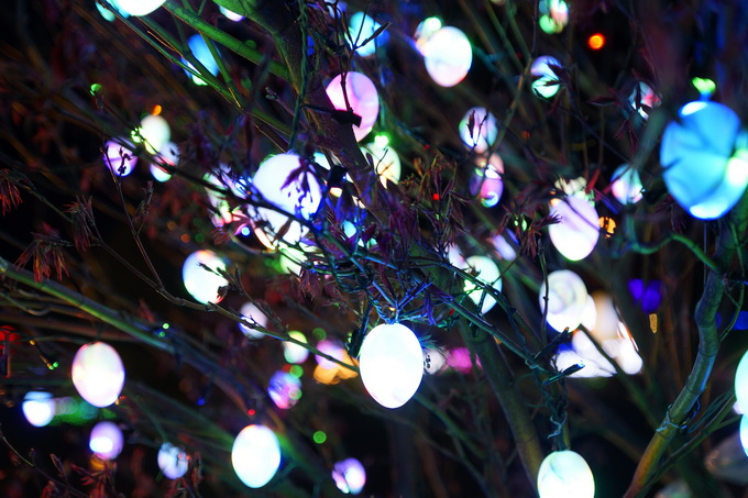 Cazma, 060412.
Obitelj Salaj iz Grabovnice kraj Cazme po prvi je put po uzoru na bozicni ugodjaj priredila i “Uskrsnu pricu”. Za tu su priliku imanje ukrasili s 2700 pisanica, zeceva, pilica i pijetlova koji svijetle po noci i ostavljaju posjetioce bez da