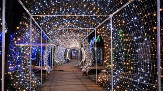 Dva milijuna lampica za božićnu čaroliju na imanju Salaj