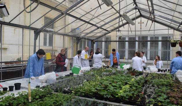 Staklenik, Poljoprivredno-prehrambena i veterinarska škola Stanka Ožanića