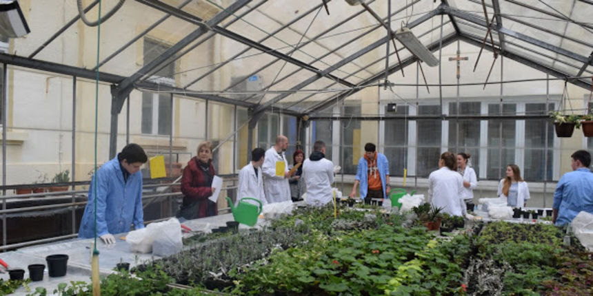 Staklenik, Poljoprivredno-prehrambena i veterinarska škola Stanka Ožanića