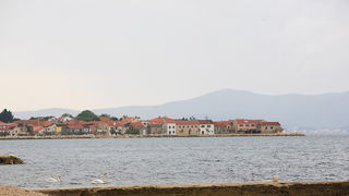 Labudovi u Bibinjama 6. svibnja 2013. Foto: Leo banić Labudovi u Bibinjama 6. svibnja 2013. Foto: Leo banić