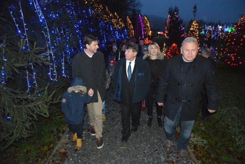 Božićna priča obitelji Salaj s rekordnih 1,88 milijuna lampica. Foto: Damir Špehar/PIXSELL