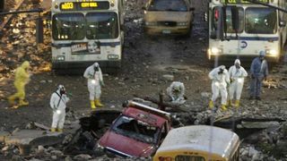 Image 1176069 (auto)